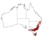 Eucalyptus pauciflora distribution 