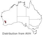 Grevillea dryandroides distribution