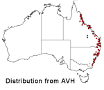 Platycerium bifurcatum distribution