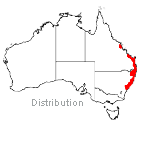 Banksia aemula distribution