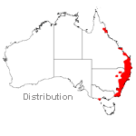 Doodia aspera distribution