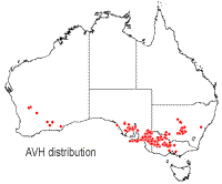 Prostanthera aspalathoides distribution