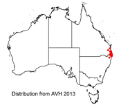 Citrus australasica distribution map