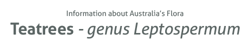 Teatrees - genus Leptospermum - Information about Australia's Flora
