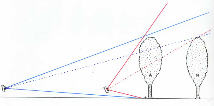 tree wide-angle vs telephoto