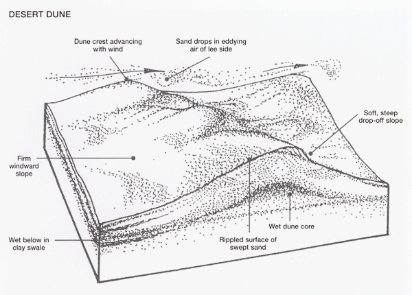 Desert Sand Dunes diagram