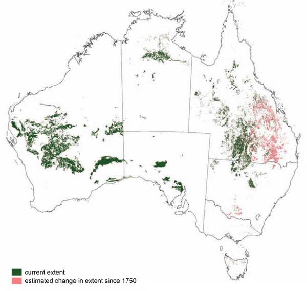 Acacia Forests and Woodlands - Australian Vegetation
