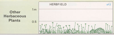 Herbfield structure