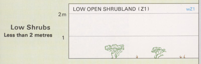 Low Open Shrubland structure