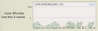 Low Shrubland structurue