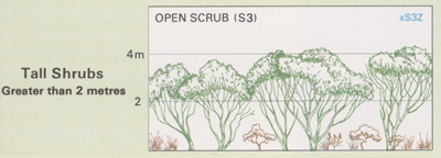 Open Scrub structure