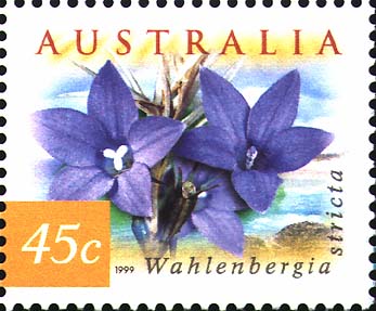 Wahlenbergia stricta stamp